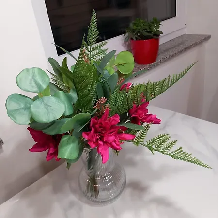 Apartma Krnes